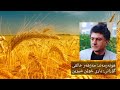 مەزهەر خالقی کاتێ یاری خوێن شیرین    