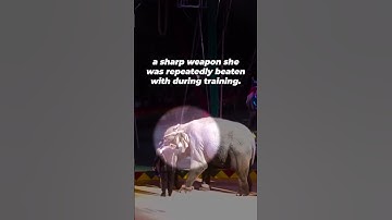 There’s NOTHING Fun About This Circus Act #shortsvideo