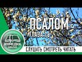 ПСАЛОМ ГЛАВА 16 - БИБЛИЯ, ВЕТХИЙ ЗАВЕТ, СЛУШАТЬ, ЧИТАТЬ, СМОТРЕТЬ, Христианское сообщество [ИНМЕДИА]