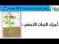 علوم طبيعية السنة اولى متوسط اجزاء النبات الاخضر