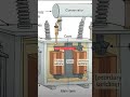 @electricity and transformer(इलेक्ट्रिसिटी और ट्रांसफॉर्मर)