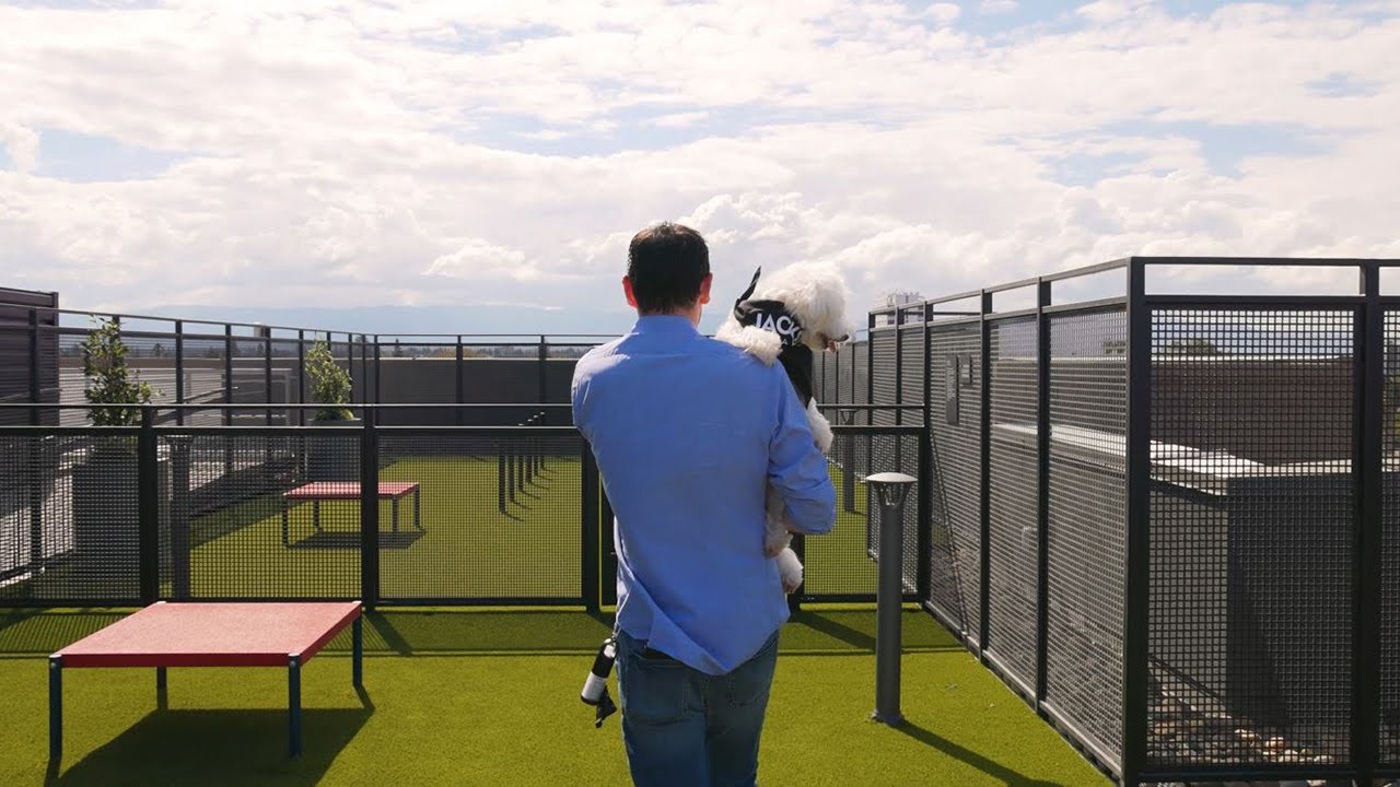 Amenity Tour Rooftop Dog Park at Sixth & Jackson Apartments in San Jose YouTube