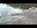 ラジコン潜水艦Uボート