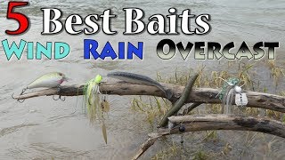 Top 5 Baits for Fishing Wind Rain and Overcast Conditions