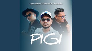 PIGI