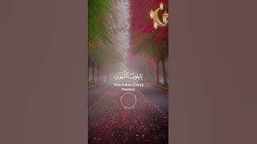 📖سورة النساء 🎙️طارق محمد