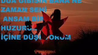 Mehmet Kayik Can Tanem