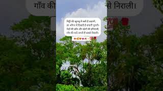 Gori Tera gso bara pyara 💓😍