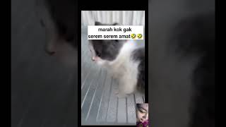 Wkwk