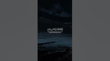 سورة الأحزاب - القارئ: سعد الغامدي