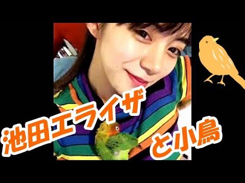 【動画】池田エライザ　ペット小鳥ちゃんと！