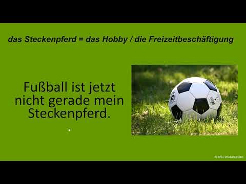 Wortschatz lernen Niveau C1 Synonyme Beispiele