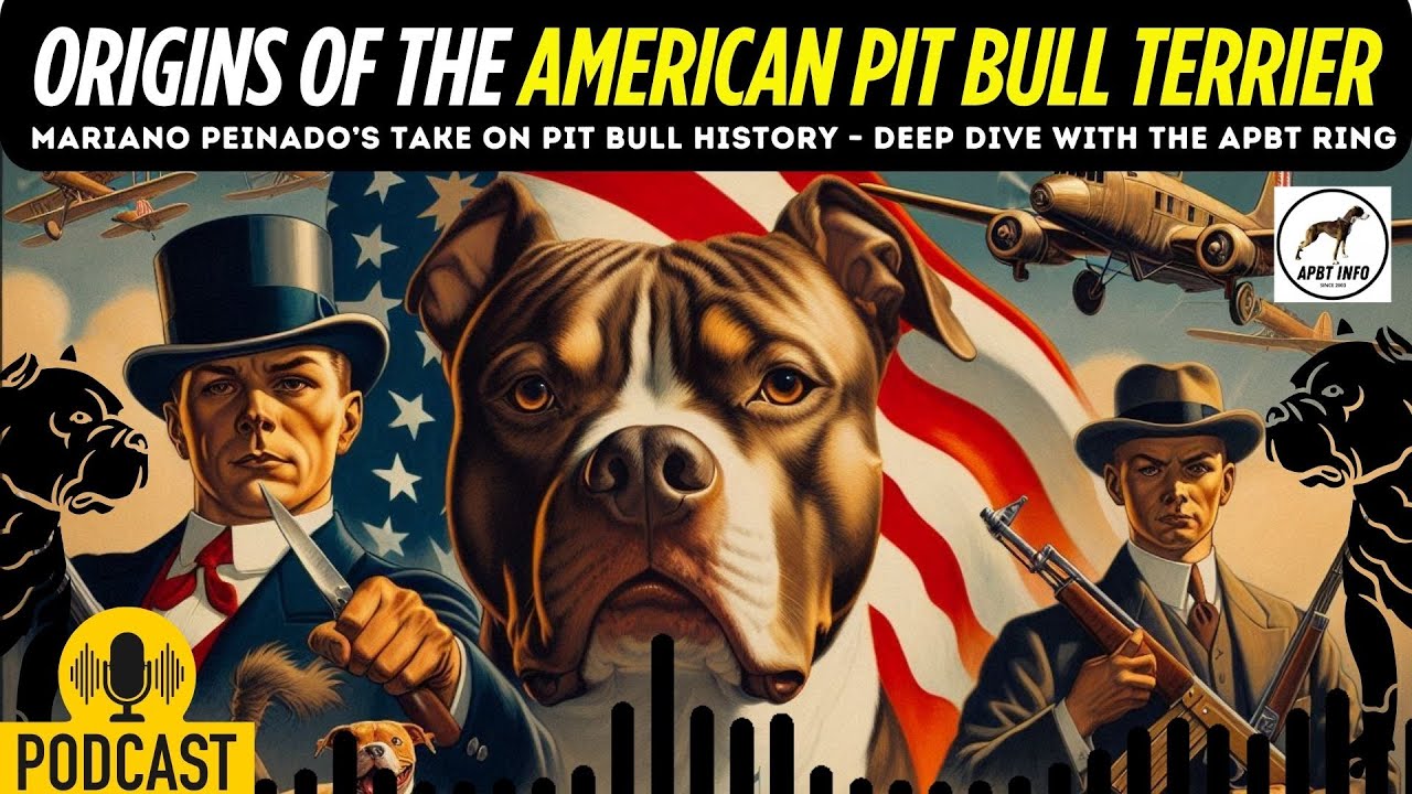 American Pit Bull Terrier History | The Origins of the APBT GAME DOG