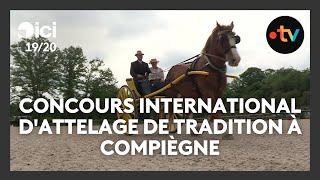 The International Traditional Driving Competition in Compiègne