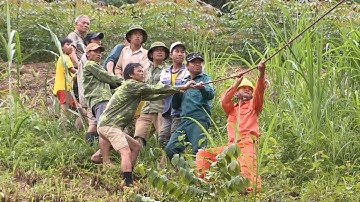 Bảo đảm an toàn hành lang lưới điện miền núi trong mùa mưa bão