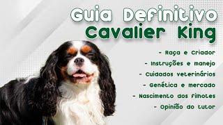 GUIA DE RAÇAS COMPLETO SOBRE O CAVALIER KING! | CANAL MAIS PET