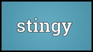 Stingy Meaning