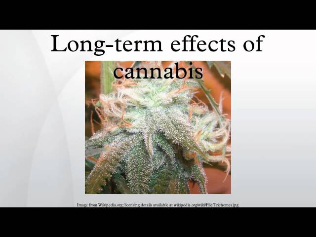 Effects of cannabis - Wikipedia