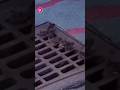 Rats watching the street fight like it’s a full movie 😂🐀🔥 #shorts