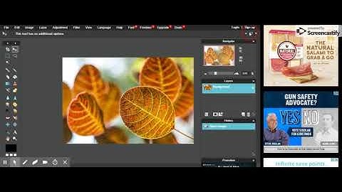 how to use layers in Pixlr