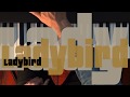 Ladybird (head and solo)