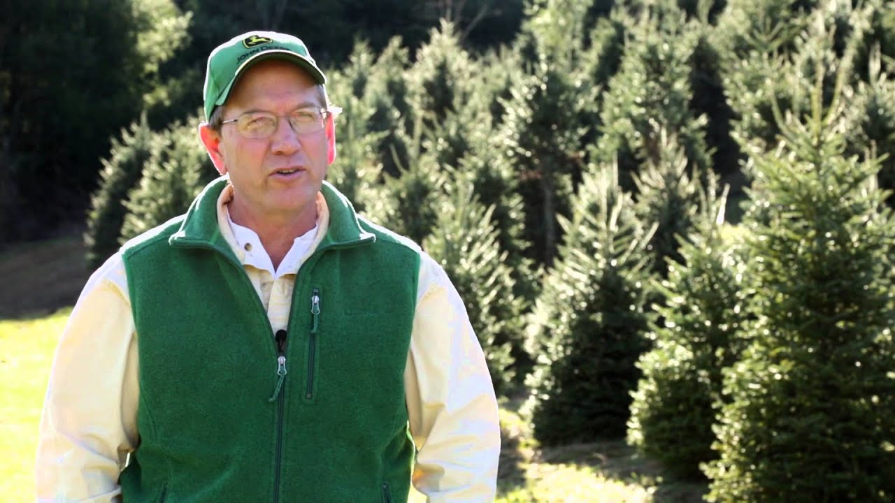 Grassy Creek Greenery | My Ingles Story