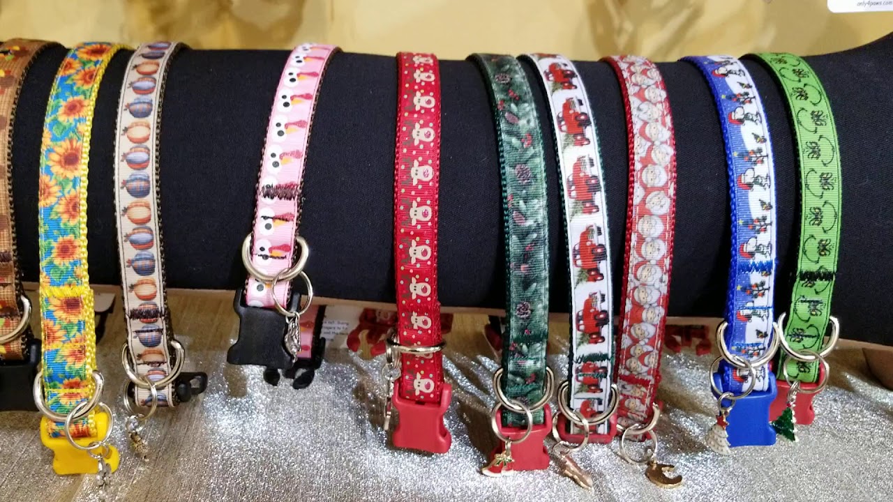 Suzanne Shenton: 4 Paws Studio