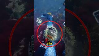Fish Trapped This Man 😳