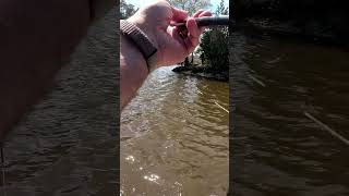 This is how you mess up a perfect catch #fishing #fail #shorts