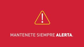 Lucha contra el Aedes Aegypti