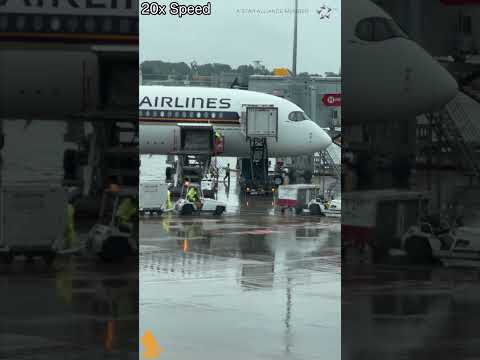 Video: Սինգապուրի Չանգի օդանավակայանի ուղեցույց