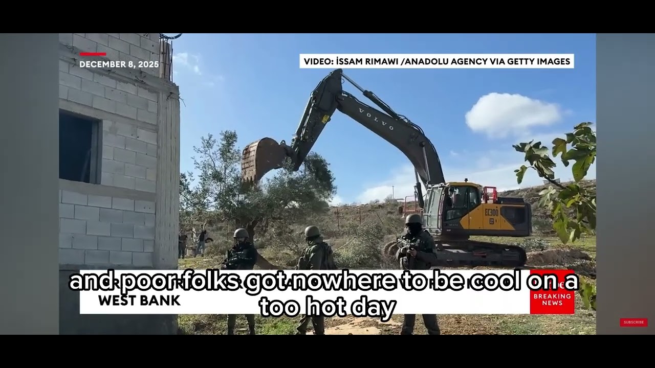 No more trees -no more we #logging #westpapua #kashmir #congo#palestine
