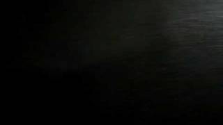Picture 172.avi