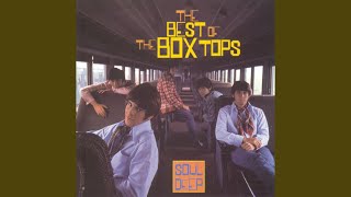 Video thumbnail of "The Box Tops - She Shot A Hole In My Soul"