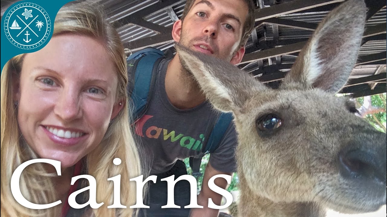 Visiting Cairns Australia! - Tons of crazy nature & animals!