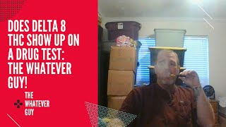 Does Delta 8 THC show up on a Drug Test: The Whatever Guy