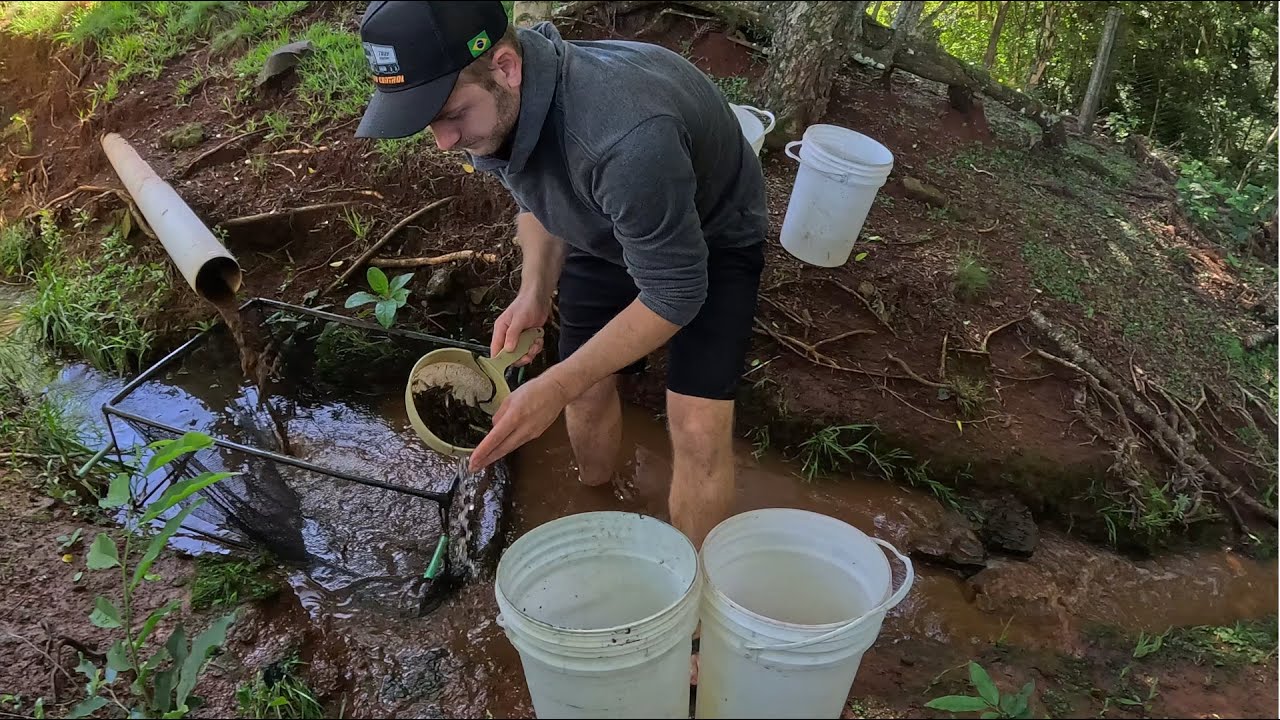 Começamos a renovar o estoque de peixes para a semana