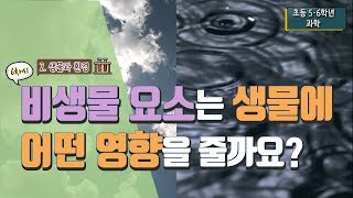 [초등 과학 5-2] 2. 생물과 환경 - 6차시 비생물 요소는 생물에 어떤 영향을 줄까요?