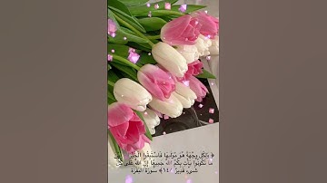 #خلفيات #دينية #سورة #البقرة #آية #148