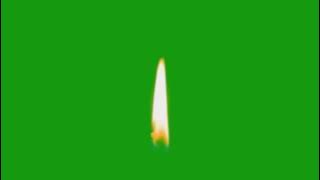 Candle Flame Green Screen   Chama de Vela