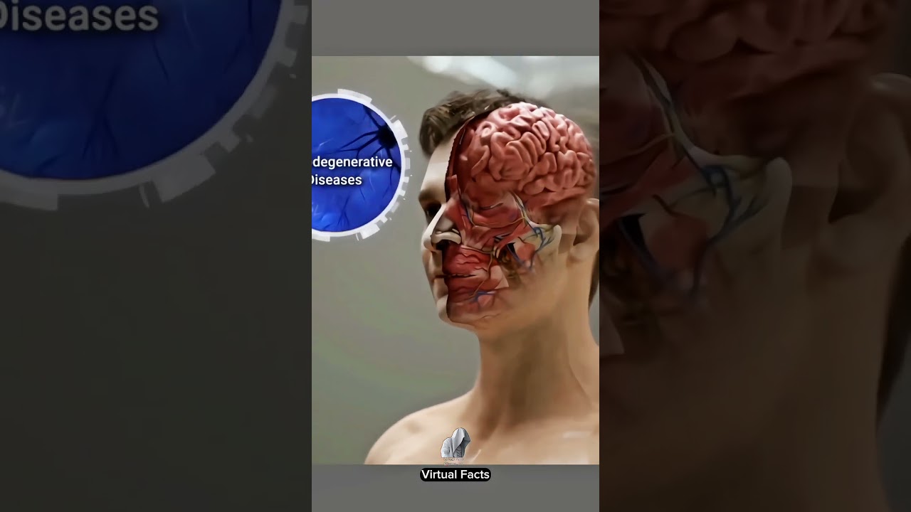 The Brain Bridge Concept : Virtual Facts 