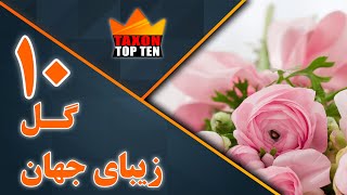 10 گل زیبای جهان  | ده گل زیبای جهان