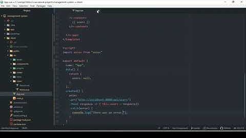 Connecting Laravel Backend API To Vuejs Frontend | 9