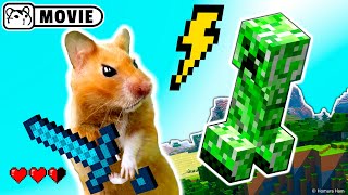 Hamster survival in Minecraft Ep.1 😱 Hamster vs Creeper and Zombie 😱 Homura Ham screenshot 2