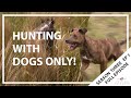 Hunting Aotearoa Series 3 Episode 1 - Hunting with Dogs