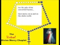 Divine Mercy Chaplet (spoken) (virtual)