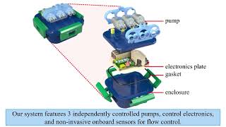 Fluidic Control of Untethered Underwater Soft Robots