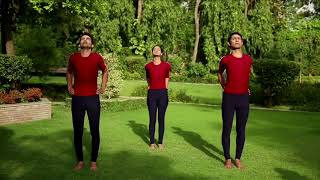 Pada Hastasana Ardha Chakrasana