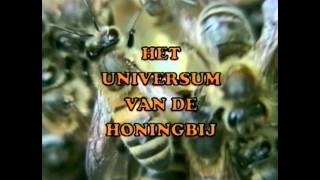 Het Universum van de Honingbij (DEEL 5/5)