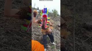 考古探險3Archaeological Exploration 3 #heartwarming #kindergarten #comedy